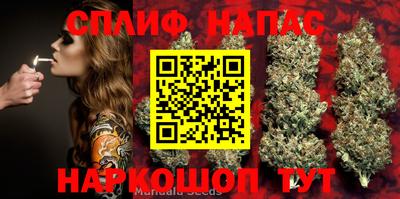 ПСИЛОЦИБИНОВЫЕ ГРИБЫ Ликино-Дулёво