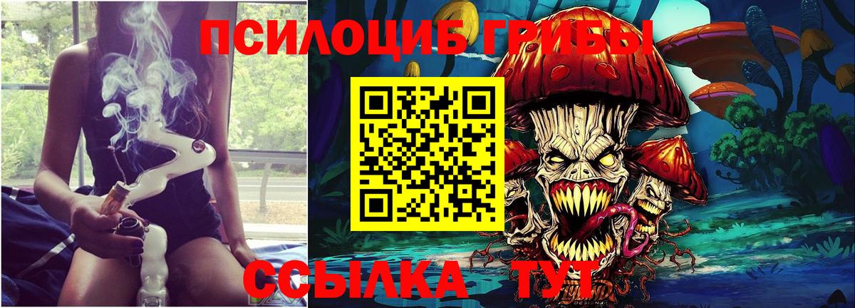 Псилоцибиновые грибы GOLDEN TEACHER Шебекино